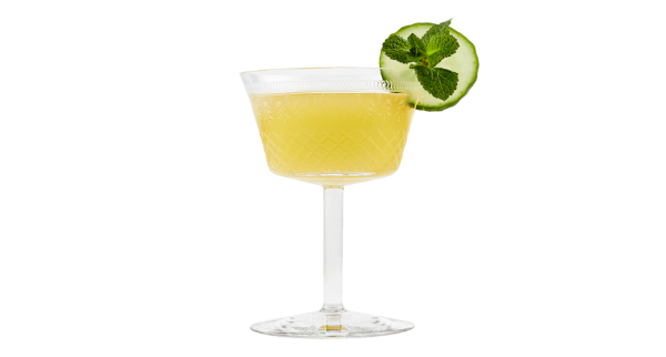Gin Hendrix + Flor de Sabugueiro